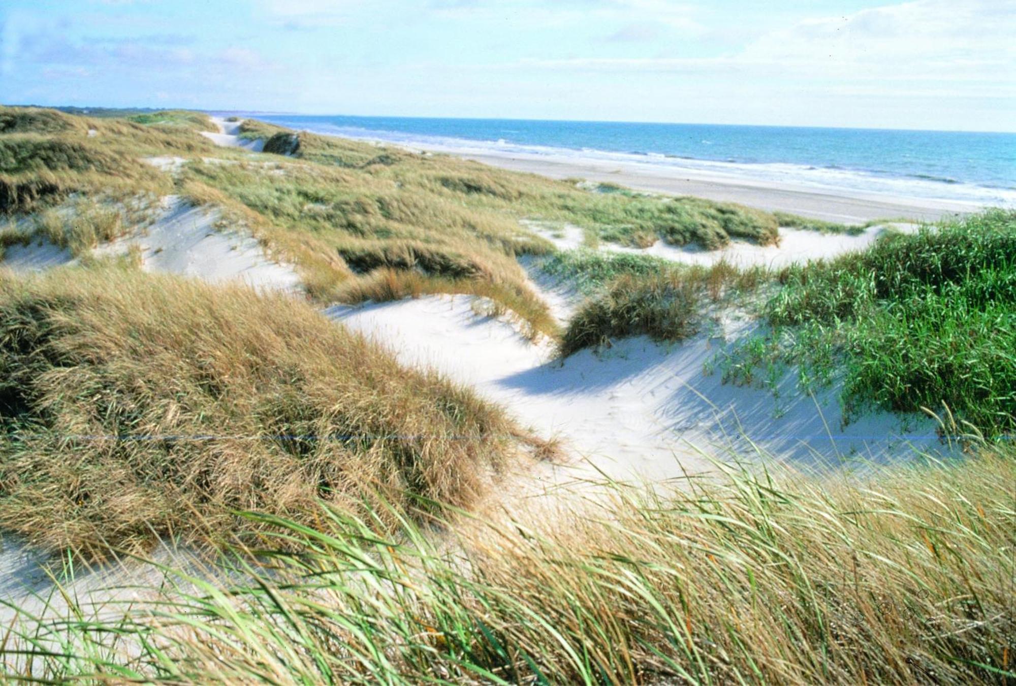 Vejers Family Camping & Cottages Exteriér fotografie